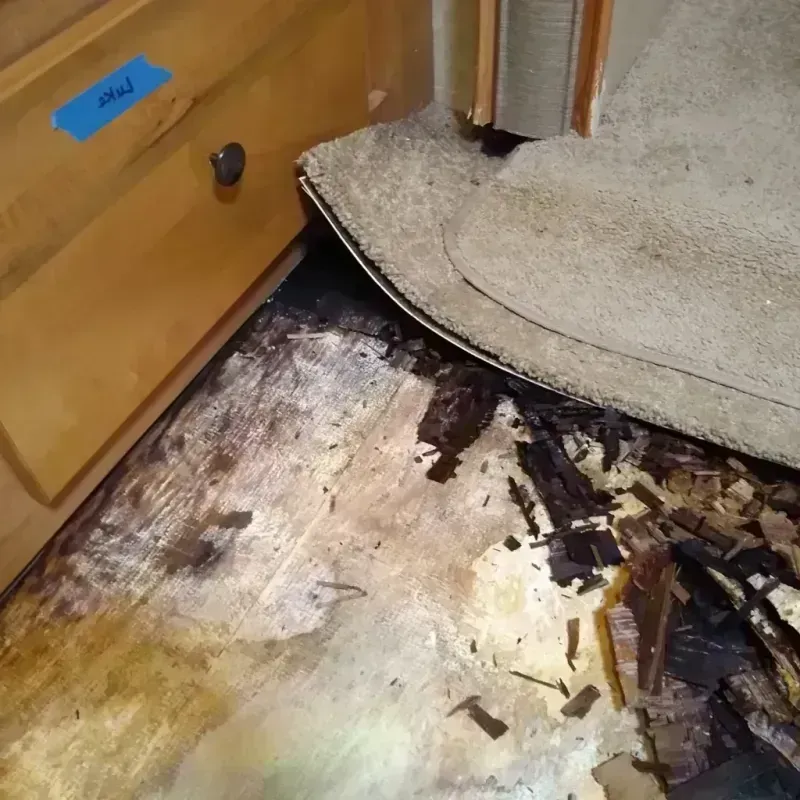 Wood Floor Water Damage in West Haven-Sylvan, OR